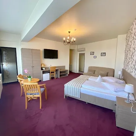 Guest house Pensiunea Rix 4*