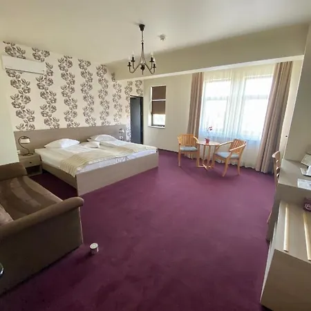 Pensiunea Rix Guest house Focsani