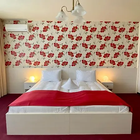 Guest house Pensiunea Rix 4*