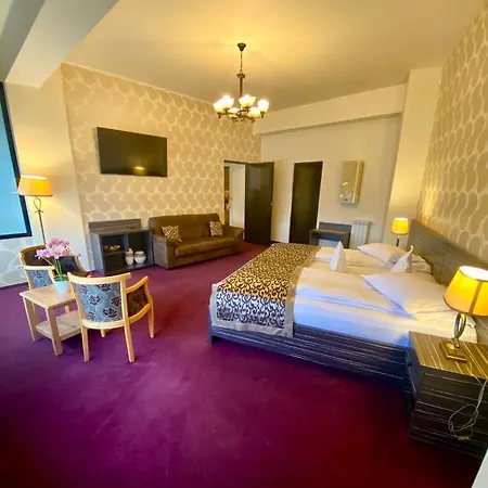 Pensiunea Rix Guest house 4*